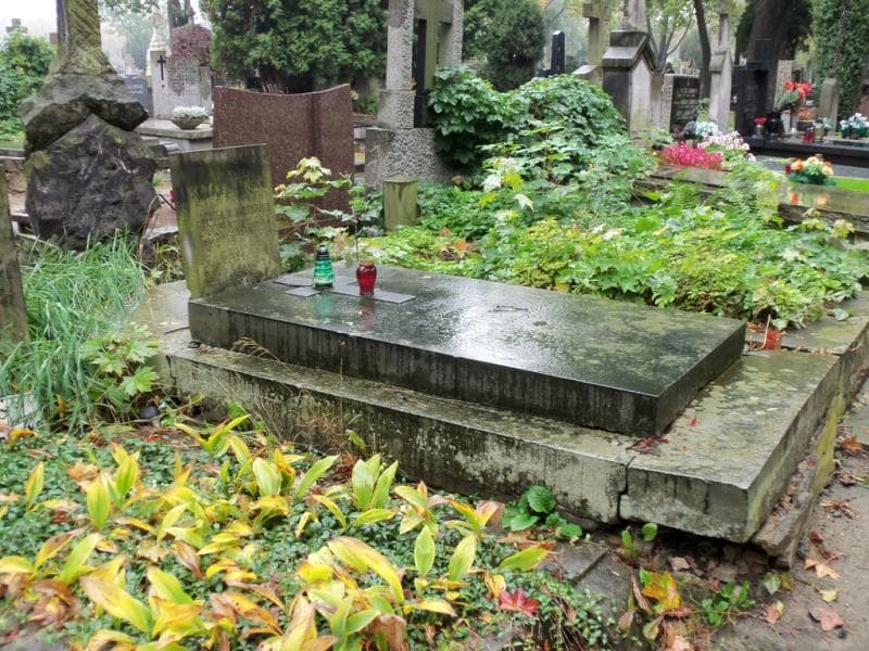 Zdjęcie grobu Franciszek Kochanowski (1)