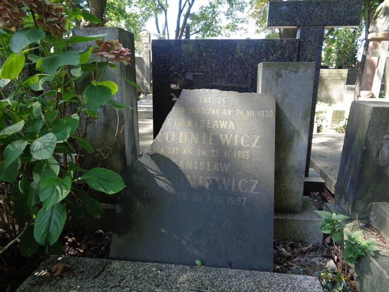 Zdjęcie grobu ... Brodniewicz (2)
