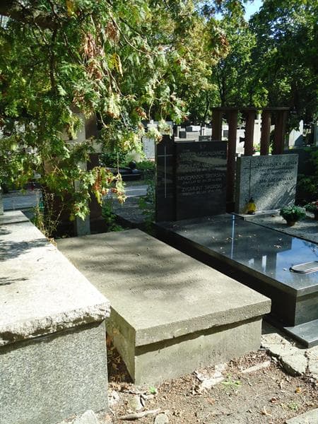 Zdjęcie grobu Maria D'abancourt Wierzyńska (1)