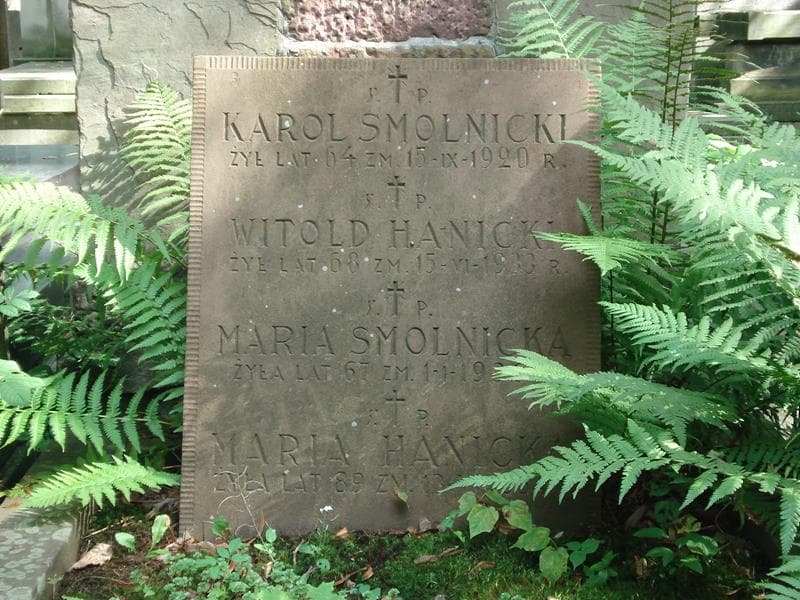 Zdjęcie grobu Maria Hanicka (2)