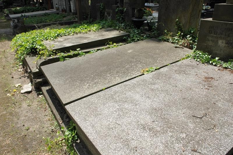 Zdjęcie grobu: Gabriela Dowgirdowa