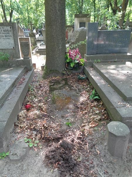 Zdjęcie grobu Balbina Tarasiewicz (1)
