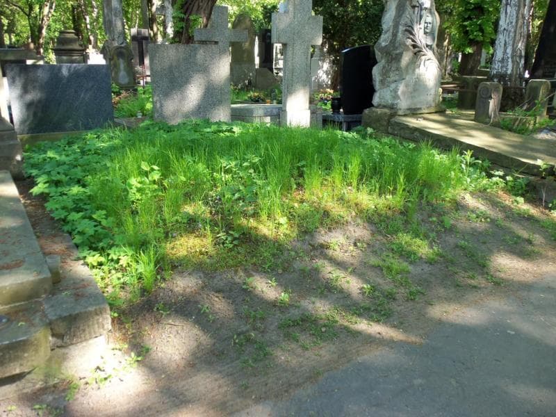 Zdjęcie grobu Pole Grobowe (1)