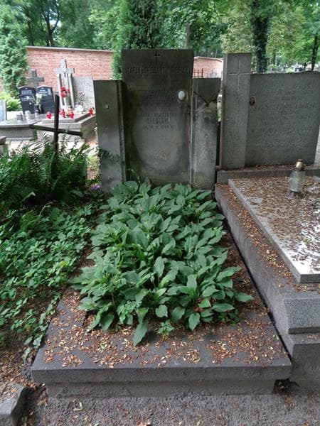 Zdjęcie grobu Marja Cieślak (1)
