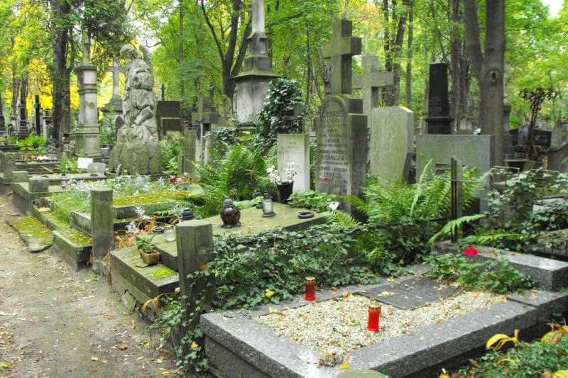 Zdjęcie grobu Wacio Donalis (1)