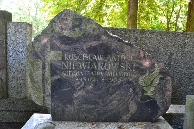 Zdjęcie grobu Rościsław Antoni Niewiarowski (2)