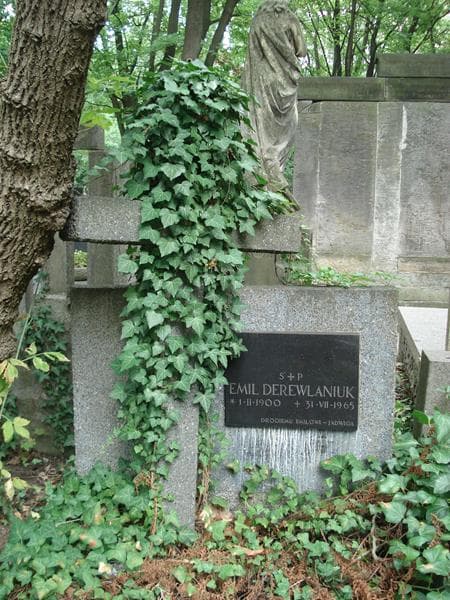 Zdjęcie grobu Emil Derewlaniuk (2)