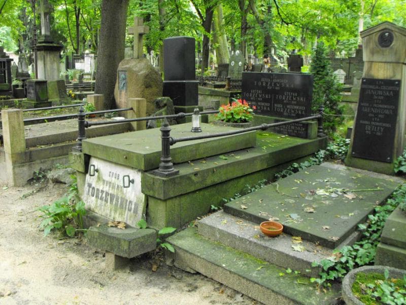 Zdjęcie grobu Stefan Torżewski (1)