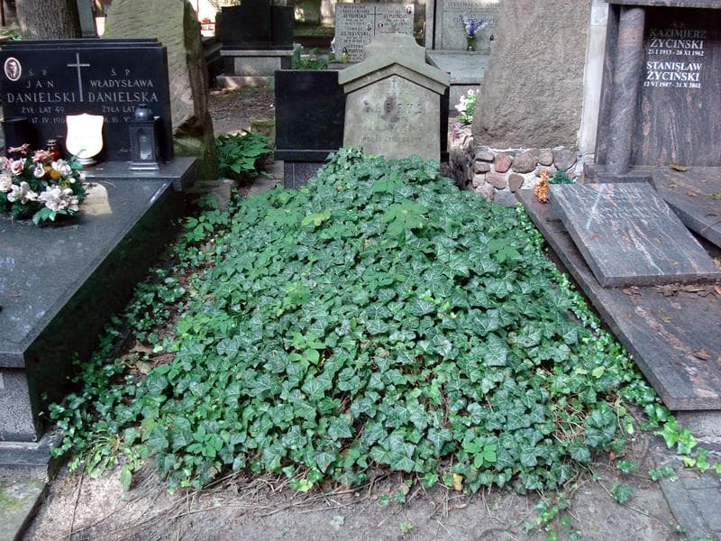 Zdjęcie grobu Józef Gabryś (1)