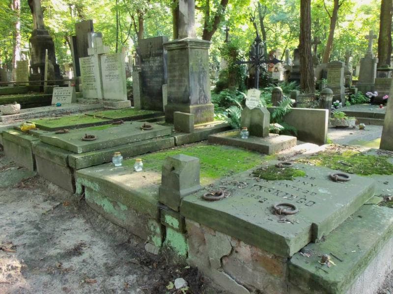 Zdjęcie grobu Władysława Kozłowska (1)