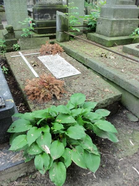 Zdjęcie grobu Jadwiga Von Kienitz (1)