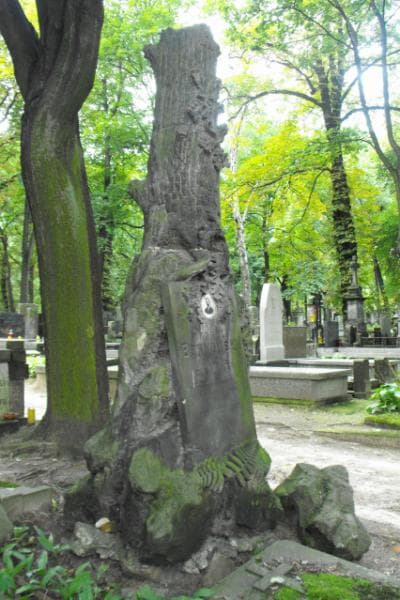 Zdjęcie grobu Karol Borkowski (2)