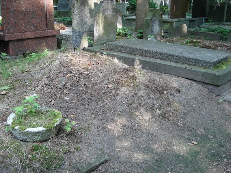 Zdjęcie grobu Franciszek Wścieklica (1)