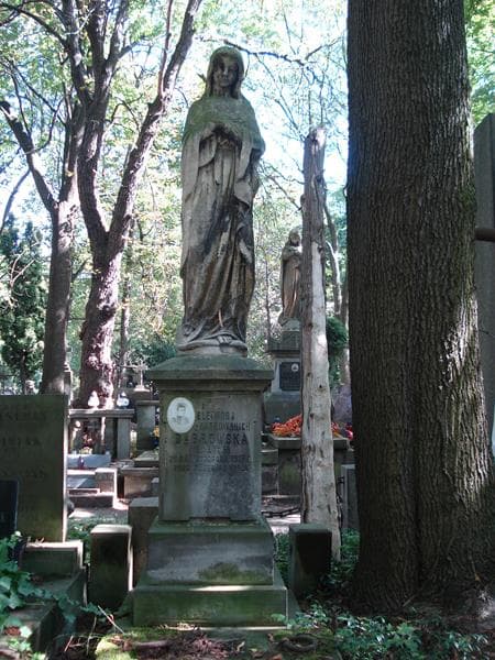 Zdjęcie grobu Eleonora Dąbrowska (2)