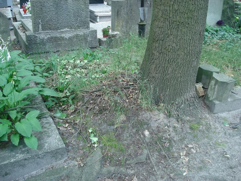 Zdjęcie grobu: Pole Grobowe