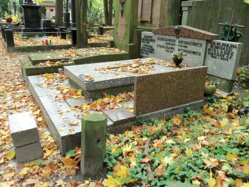 Zdjęcie grobu Ludwik Michałowicz (1)