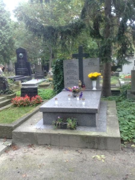 Zdjęcie grobu: Wanda Kleszcz