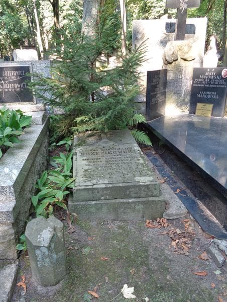 Zdjęcie grobu Maksymiljan Brzezikowski (1)