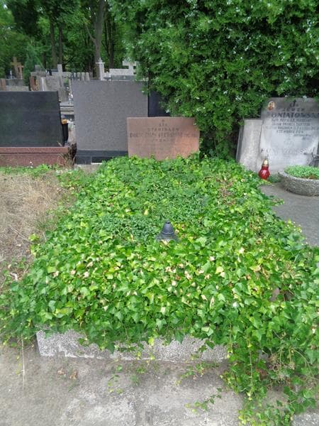 Zdjęcie grobu Stanisław Bornsztajn - Kucharski (1)