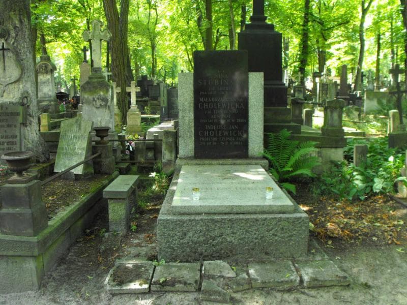 Zdjęcie grobu: Małgorzata Anna Cholewicka