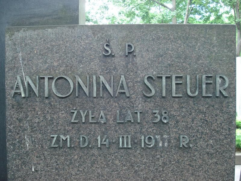 Zdjęcie grobu Antonina Steuer (2)
