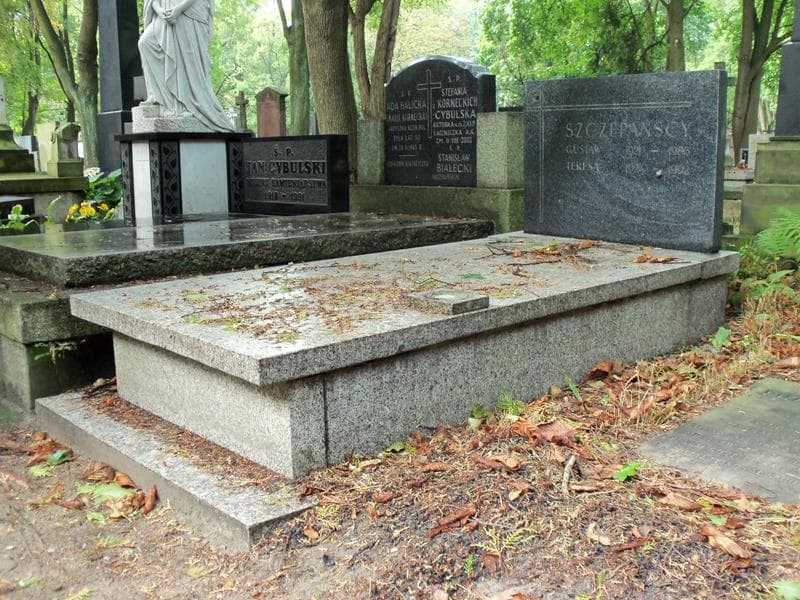 Zdjęcie grobu Gustaw Szczepański (1)