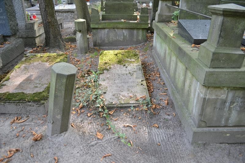 Zdjęcie grobu Jadwiga Bitner (1)