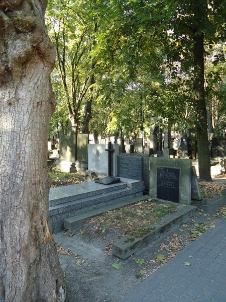Zdjęcie grobu Eugenia Piotrowska (1)