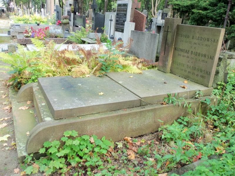 Zdjęcie grobu Witold Dąbrowski (1)