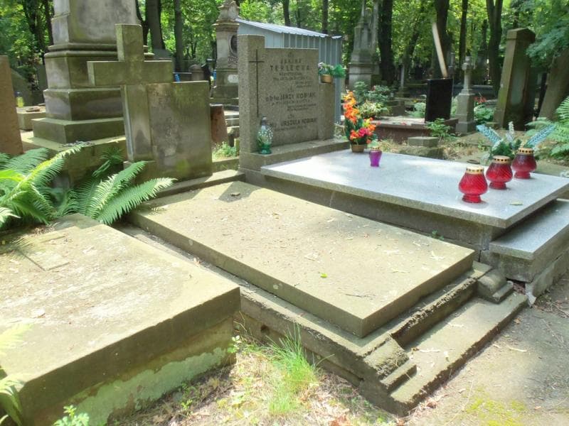 Zdjęcie grobu Tadeusz Batogowski (1)