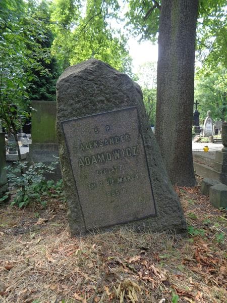 Zdjęcie grobu Aleksander Adamowicz (2)