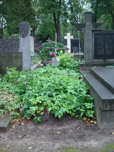 Zdjęcie grobu: Regina Kwiecień