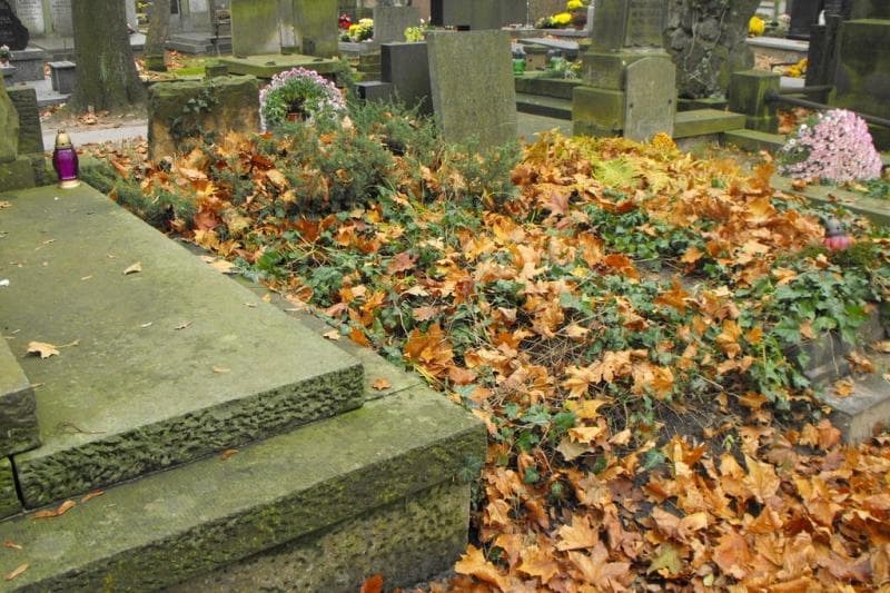 Zdjęcie grobu Pole Grobowe (1)