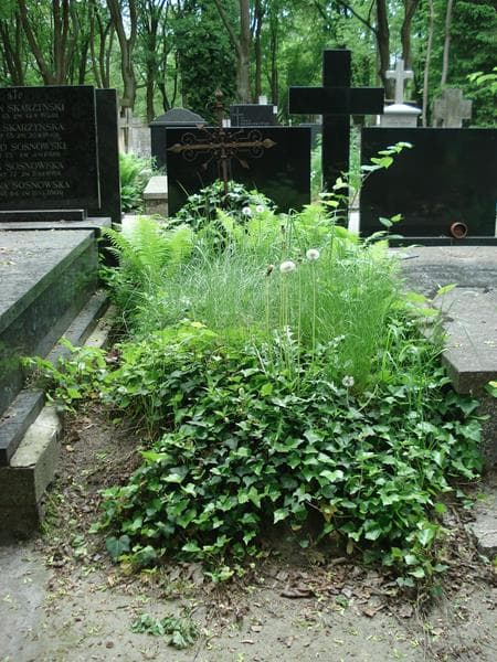 Zdjęcie grobu: Stanisław Danielewicz
