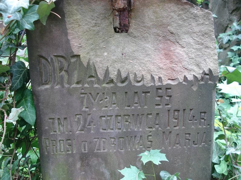 Zdjęcie grobu ... Drza... (2)