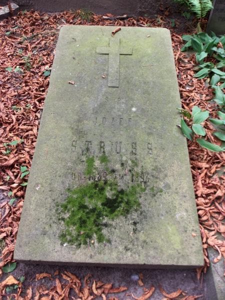 Zdjęcie grobu Józef Struss (1)