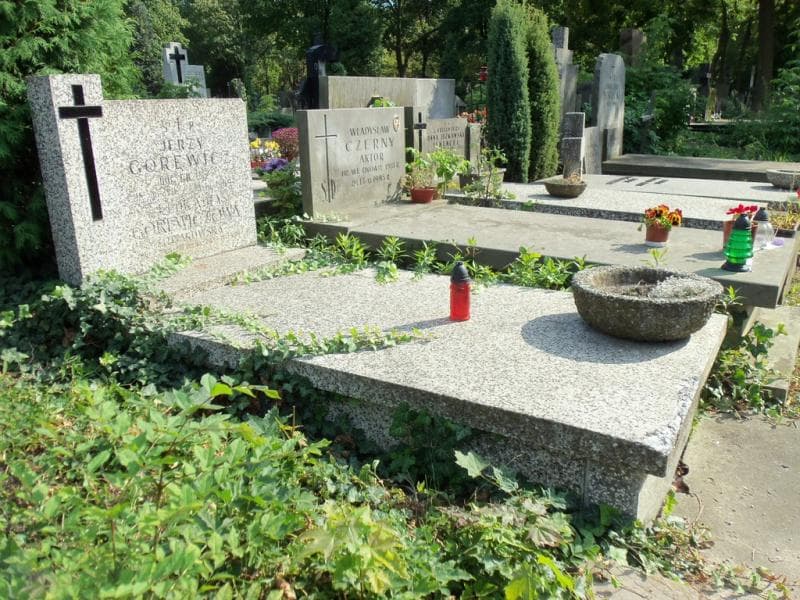 Zdjęcie grobu Leokadia Górewiczowa (1)