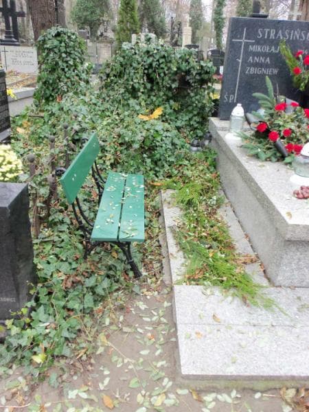 Zdjęcie grobu: Mania Iwanicka