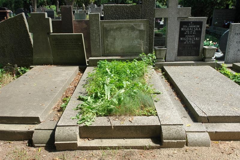 Zdjęcie grobu Jan Dobrzyński (1)