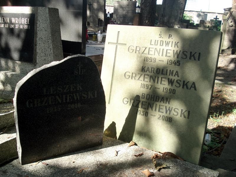 Zdjęcie grobu Ludwik Grzeniewski (2)