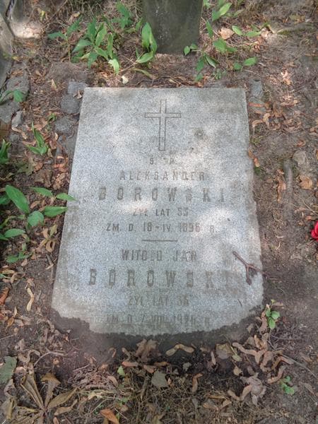 Zdjęcie grobu Aleksander Borowski (2)