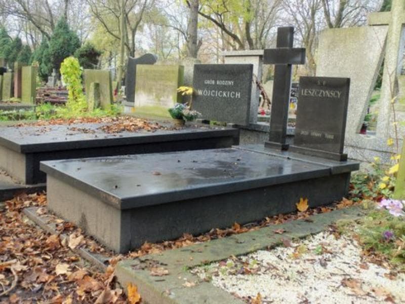 Zdjęcie grobu Leszczyńscy (1)