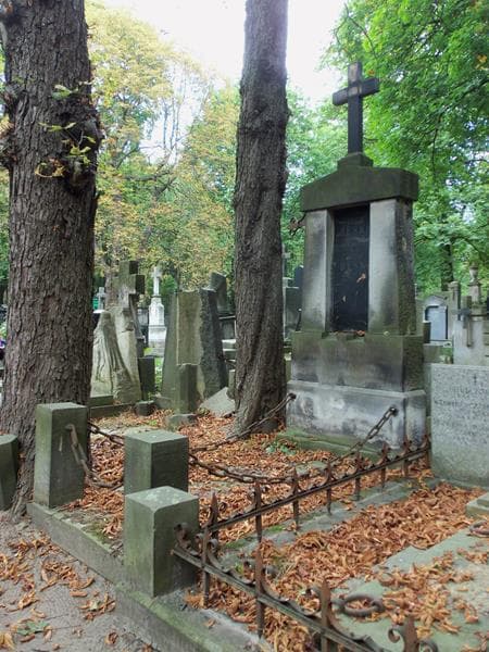 Zdjęcie grobu Adolf Bęski (1)