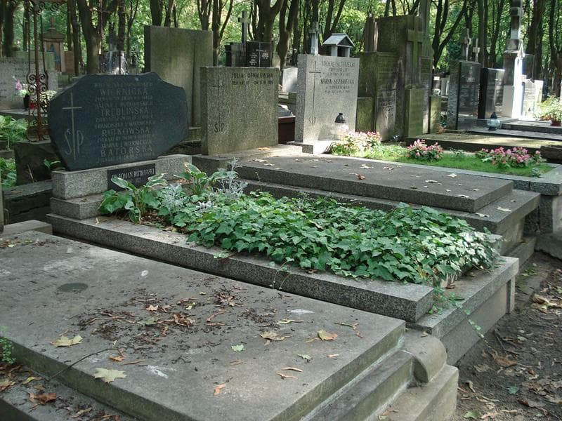 Zdjęcie grobu: Janina Batorska