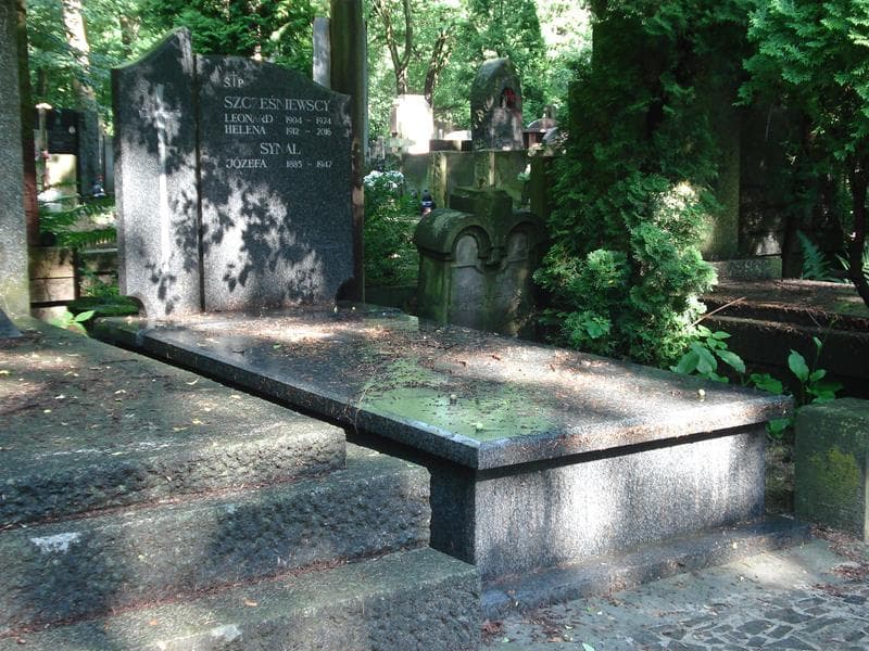 Zdjęcie grobu Helena Szcześniewska (1)