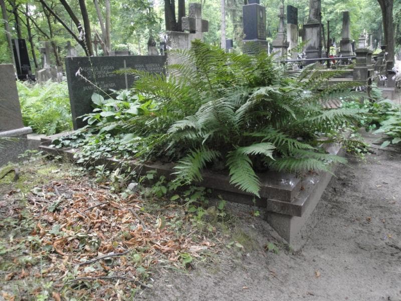 Zdjęcie grobu Maria Majewska (1)