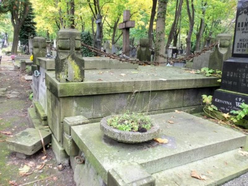Zdjęcie grobu Ludwik Fleiszer (2)
