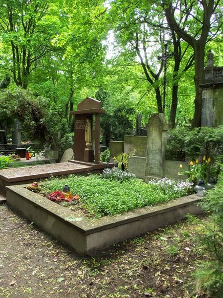 Zdjęcie grobu Bronisława Buszek (1)