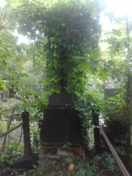 Zdjęcie grobu Ludwik Pogorzelski (1)