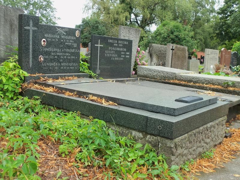 Zdjęcie grobu Stanisława Brzezińska (1)